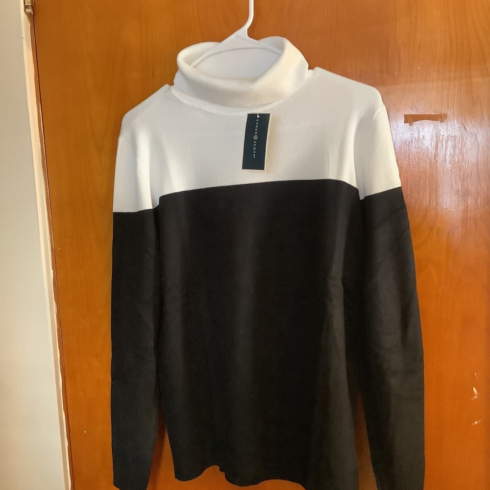 Women’s Colorblocked Turtleneck Sweater/Karen Scott